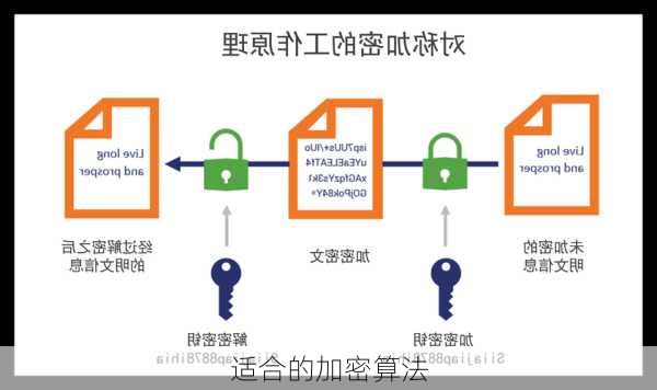 适合的加密算法