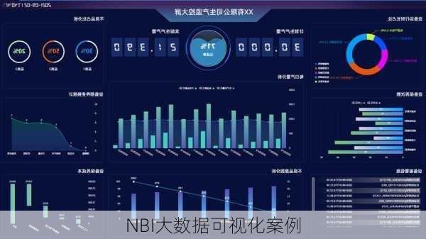 NBI大数据可视化案例