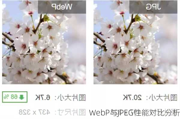 WebP与JPEG性能对比分析