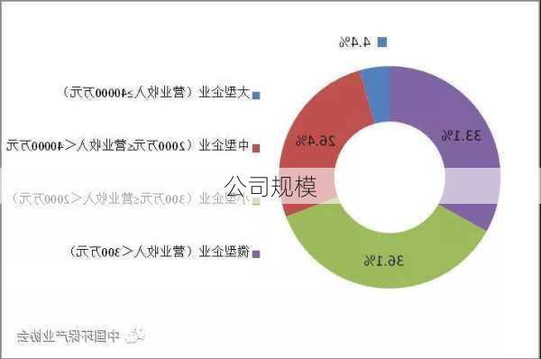 公司规模