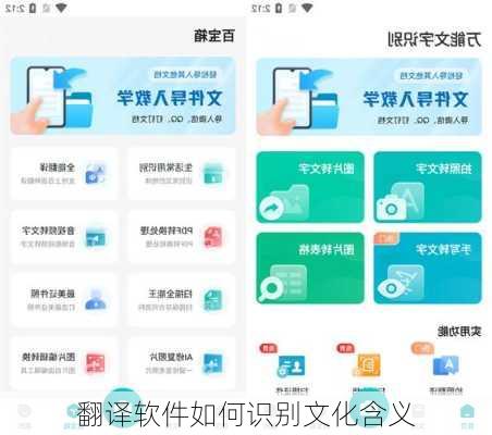翻译软件如何识别文化含义