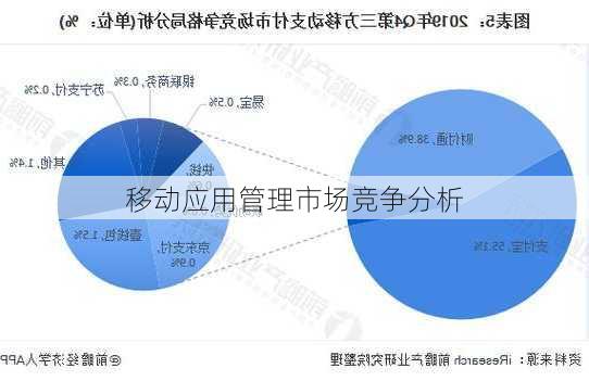 移动应用管理市场竞争分析