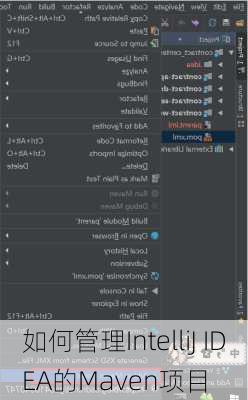 如何管理IntelliJ IDEA的Maven项目