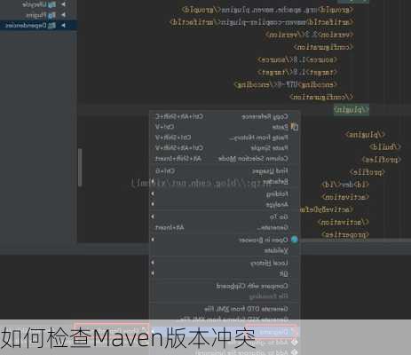 如何检查Maven版本冲突