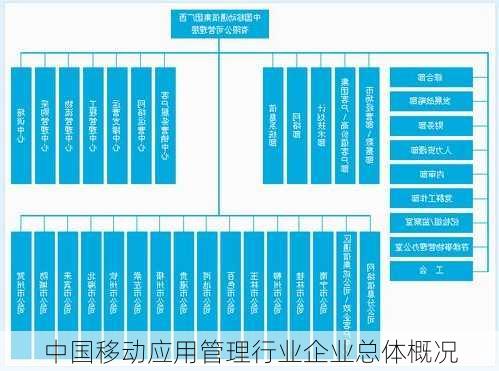 中国移动应用管理行业企业总体概况