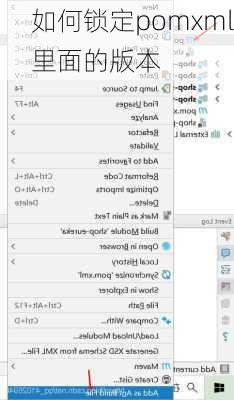 如何锁定pomxml里面的版本