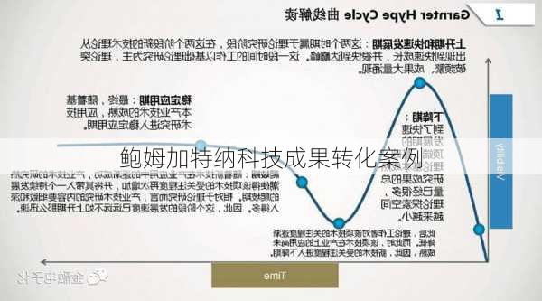 鲍姆加特纳科技成果转化案例