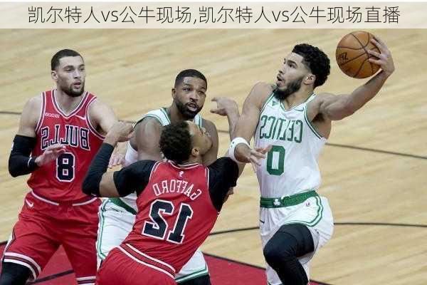 凯尔特人vs公牛现场,凯尔特人vs公牛现场直播