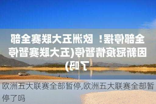 欧洲五大联赛全部暂停,欧洲五大联赛全部暂停了吗