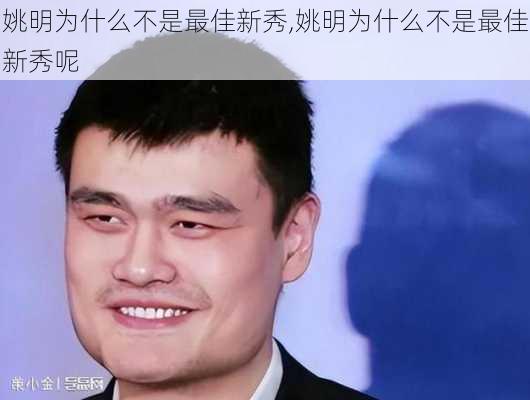 姚明为什么不是最佳新秀,姚明为什么不是最佳新秀呢