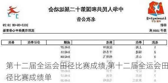 第十二届全运会田径比赛成绩,第十二届全运会田径比赛成绩单