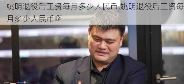 姚明退役后工资每月多少人民币,姚明退役后工资每月多少人民币啊