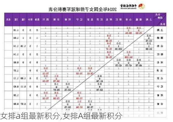 女排a组最新积分,女排A组最新积分