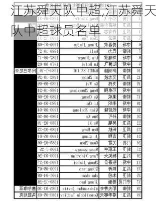 江苏舜天队中超,江苏舜天队中超球员名单