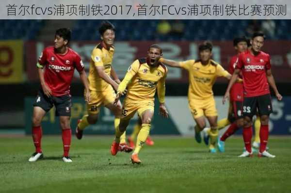 首尔fcvs浦项制铁2017,首尔FCvs浦项制铁比赛预测