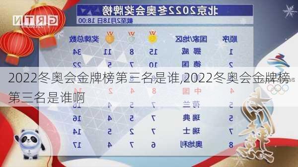 2022冬奥会金牌榜第三名是谁,2022冬奥会金牌榜第三名是谁啊