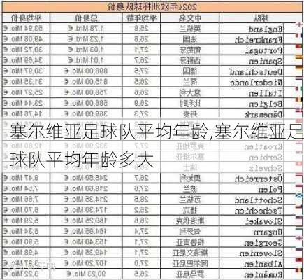 塞尔维亚足球队平均年龄,塞尔维亚足球队平均年龄多大