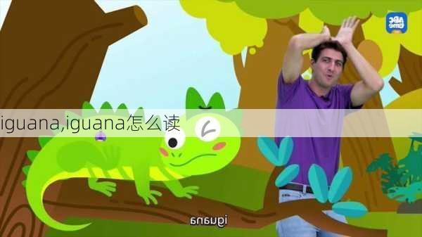 iguana,iguana怎么读