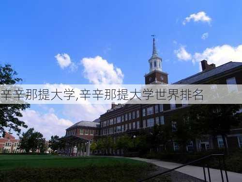 辛辛那提大学,辛辛那提大学世界排名