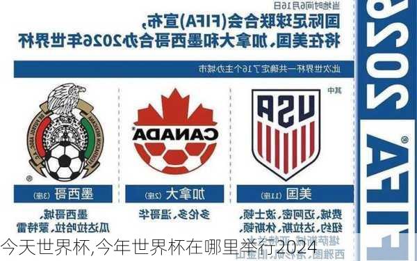 今天世界杯,今年世界杯在哪里举行2024