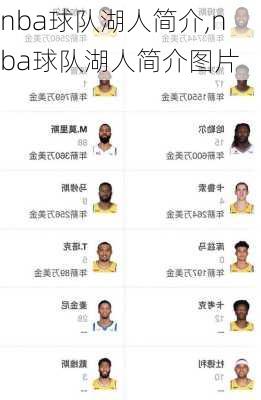 nba球队湖人简介,nba球队湖人简介图片