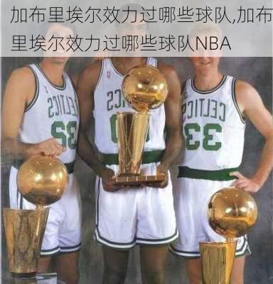 加布里埃尔效力过哪些球队,加布里埃尔效力过哪些球队NBA