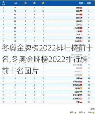 冬奥金牌榜2022排行榜前十名,冬奥金牌榜2022排行榜前十名图片