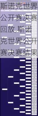 斯诺克世界公开赛决赛回放,斯诺克世界公开赛决赛结果