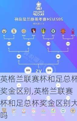 英格兰联赛杯和足总杯奖金区别,英格兰联赛杯和足总杯奖金区别大吗
