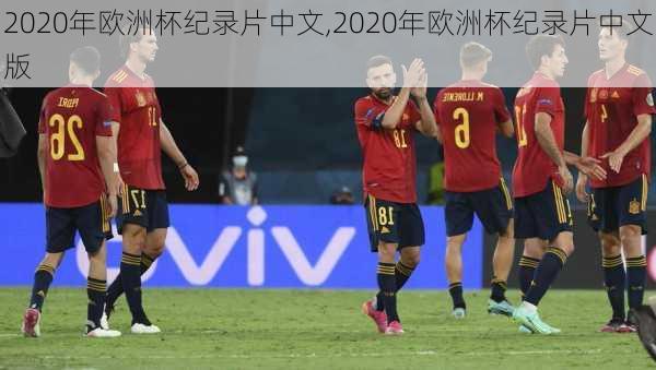 2020年欧洲杯纪录片中文,2020年欧洲杯纪录片中文版