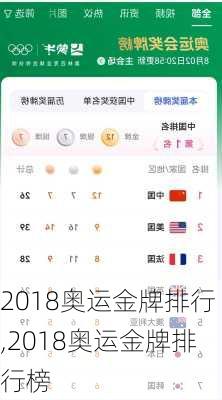 2018奥运金牌排行,2018奥运金牌排行榜