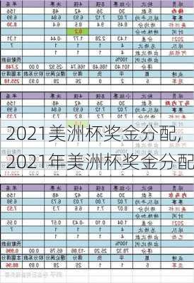 2021美洲杯奖金分配,2021年美洲杯奖金分配