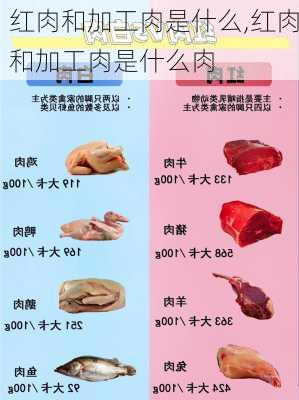 红肉和加工肉是什么,红肉和加工肉是什么肉