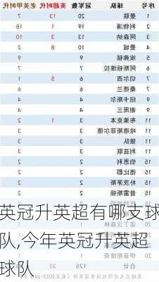 英冠升英超有哪支球队,今年英冠升英超球队