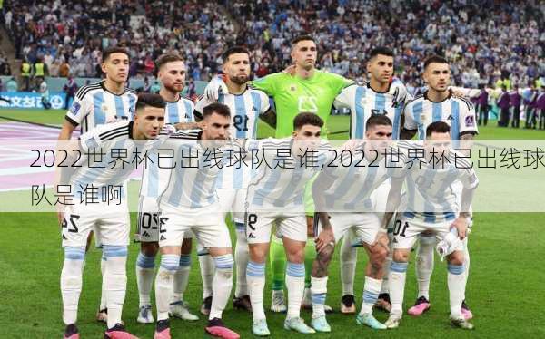 2022世界杯已出线球队是谁,2022世界杯已出线球队是谁啊