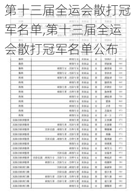 第十三届全运会散打冠军名单,第十三届全运会散打冠军名单公布