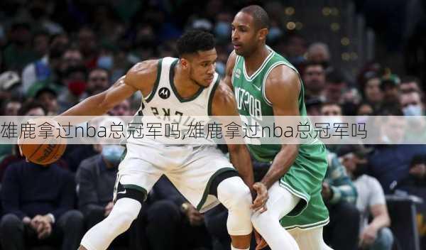 雄鹿拿过nba总冠军吗,雄鹿拿过nba总冠军吗