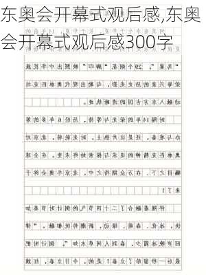 东奥会开幕式观后感,东奥会开幕式观后感300字