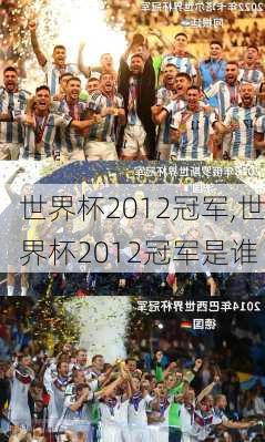 世界杯2012冠军,世界杯2012冠军是谁