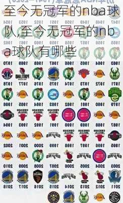 至今无冠军的nba球队,至今无冠军的nba球队有哪些