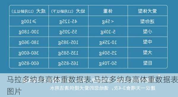 马拉多纳身高体重数据表,马拉多纳身高体重数据表图片