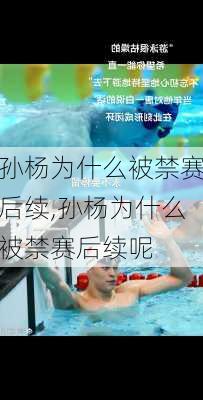 孙杨为什么被禁赛后续,孙杨为什么被禁赛后续呢