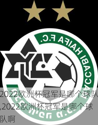 2022欧洲杯冠军是哪个球队,2022欧洲杯冠军是哪个球队啊